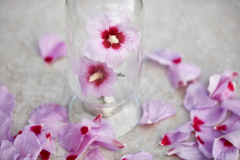 Hibiscus Flower